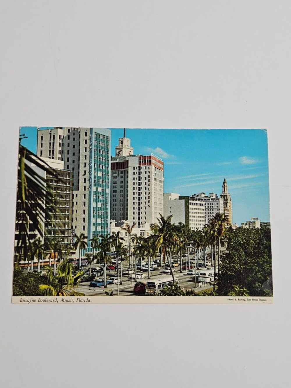 Biscayne Boulevard Miami Florida Postcard